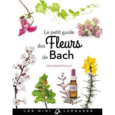 Thérapie des Fleurs de Bach                     (Gestion du bien-être émotionnel)