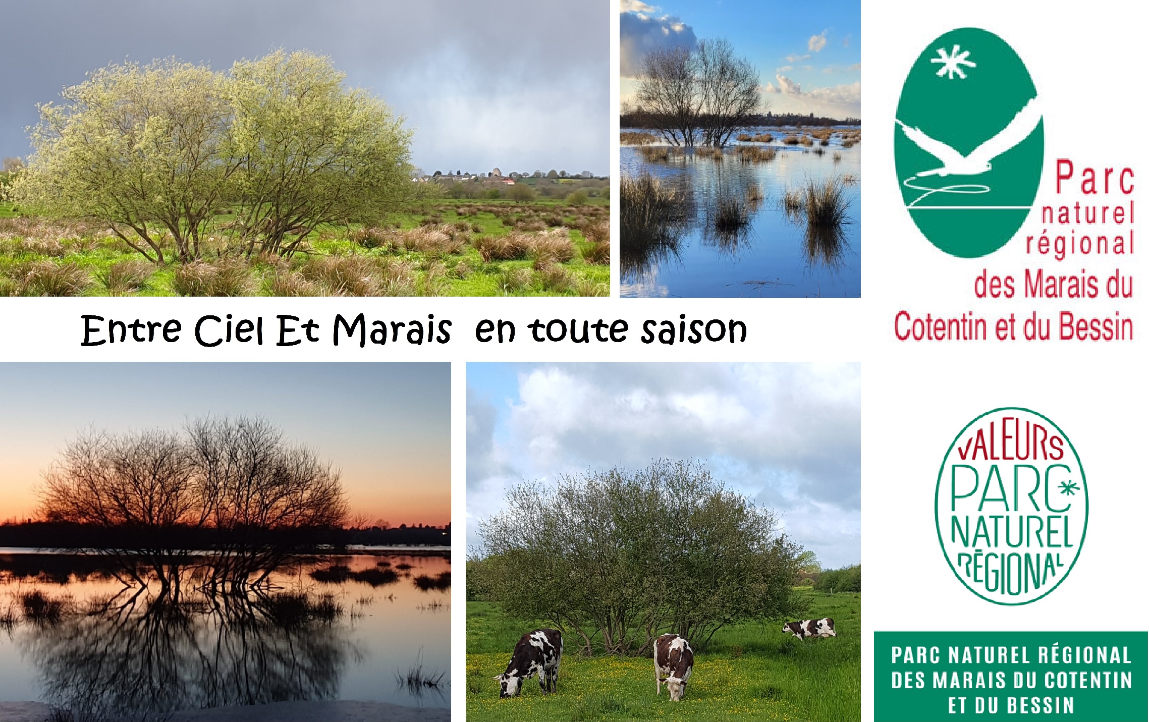 Gîte Entre Ciel et Marais au cœur du parc naturel du Cotentin