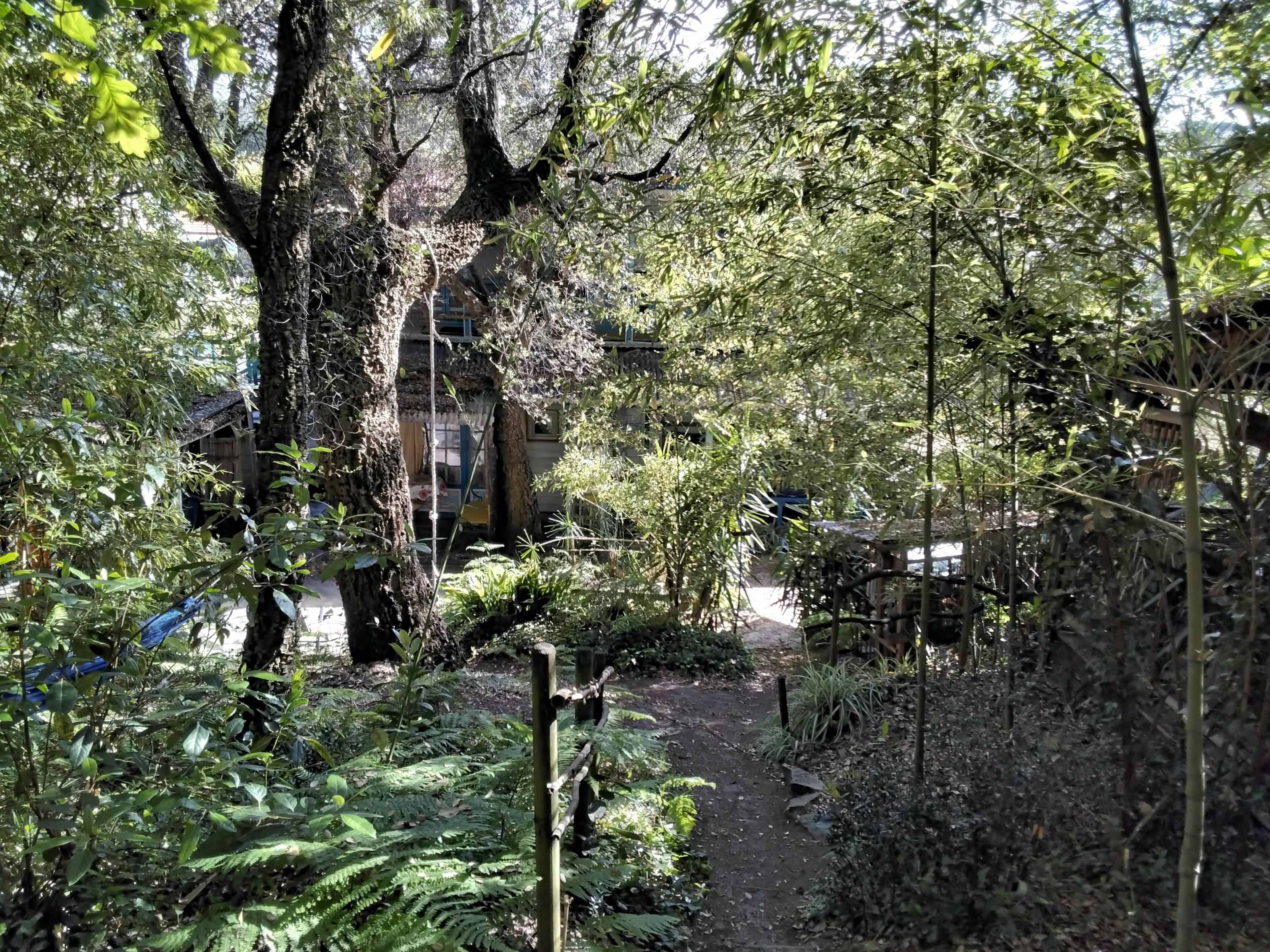 Cabane en bois dans les arbres près de l'océan