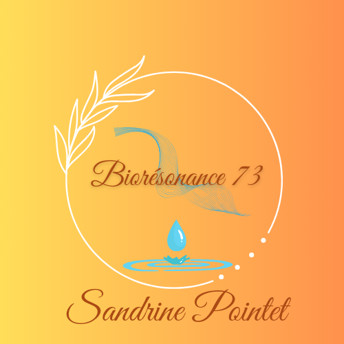 Conseils en phytothérapie, aromathérapie, séance de biorésonance et massage énergétique