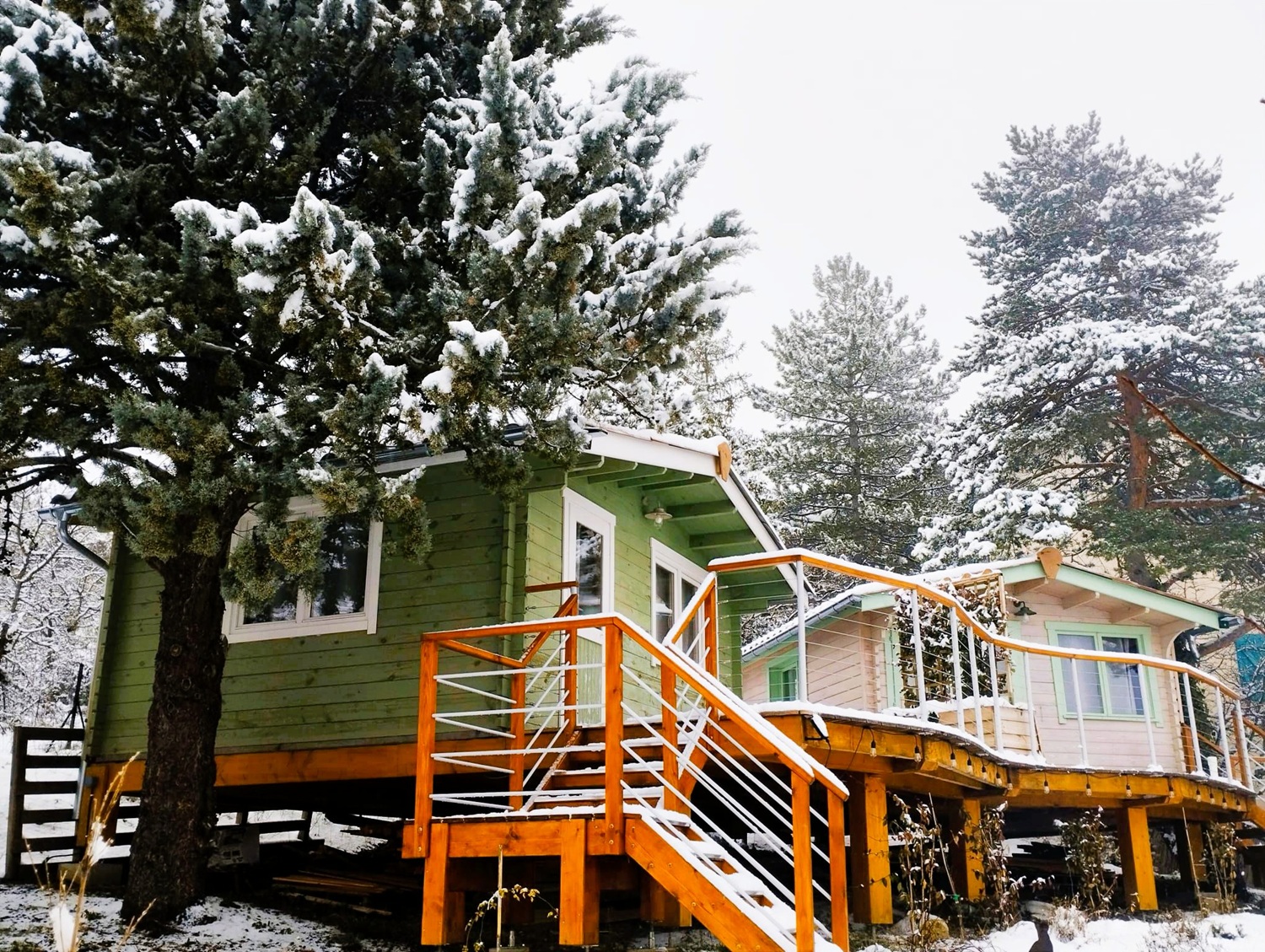 Adorable chalet perché en montagne chalet Sauge